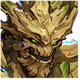 Groot